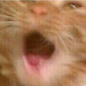 Meet your Posher, So